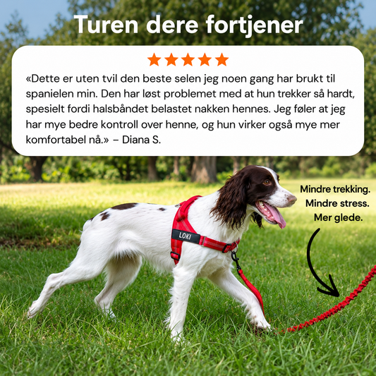 Hundesele som ikke drar