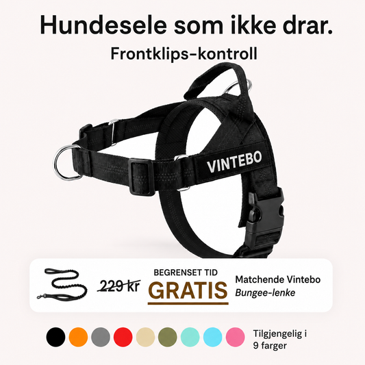 Hundesele som ikke drar