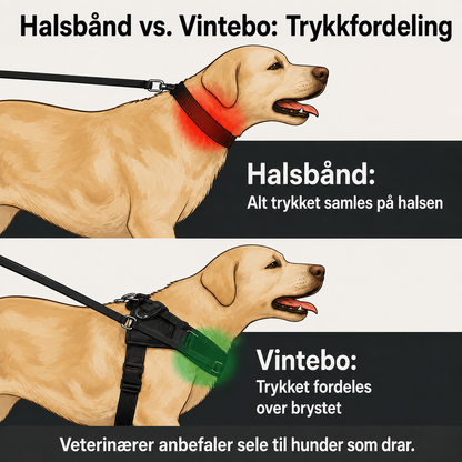 Hundesele som ikke drar