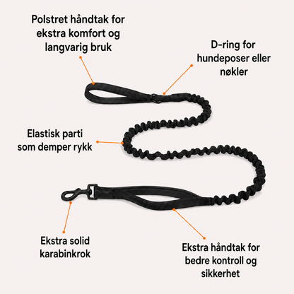 Hundesele som ikke drar