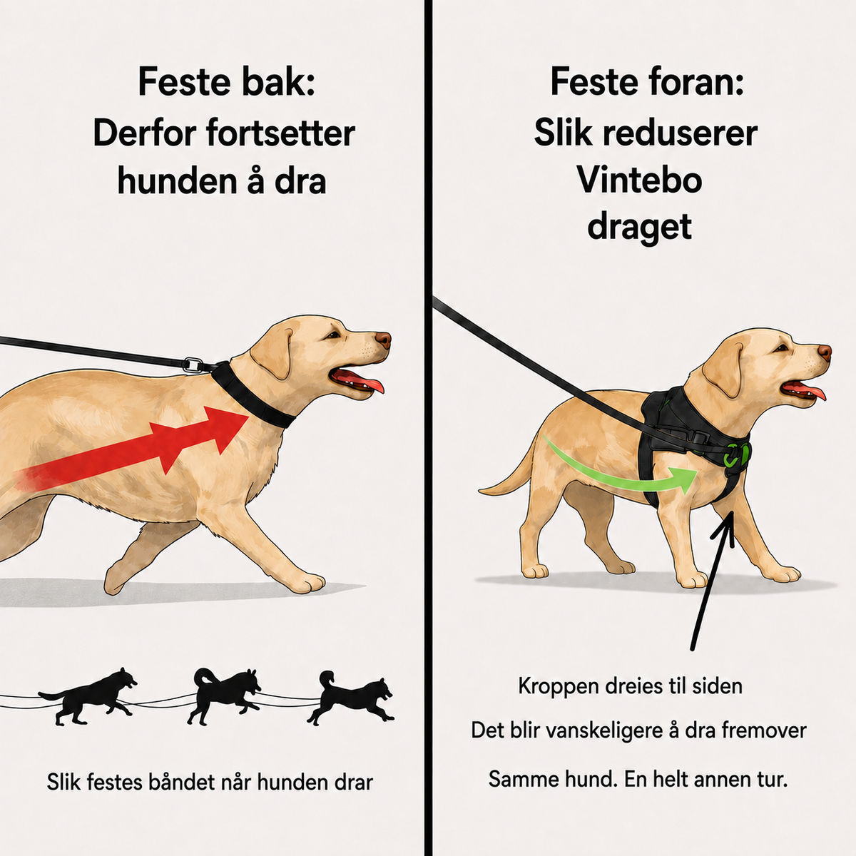 Hundesele som ikke drar
