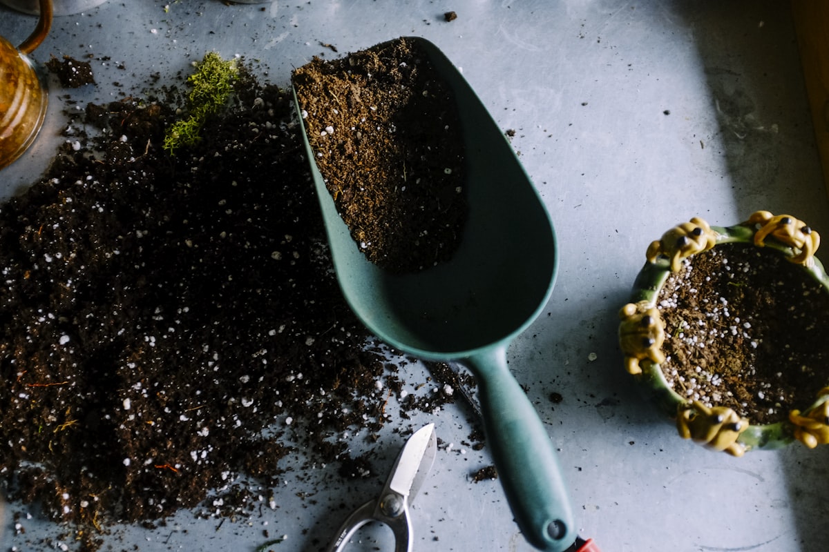 Hengende Plantekurv i Rotting