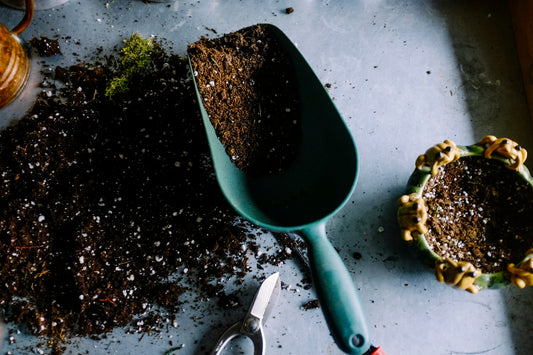 Hengende Plantekurv i Rotting